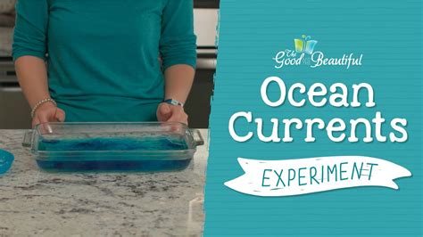 Ocean Currents Experiment Marine Biology The Good And The Beautiful