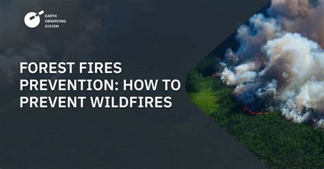 Wildfire Prevention How To Prevent And Control Forest Fires