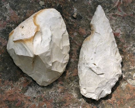 Stone Age Flint Hand Axes Stock Image C0150509 Science Photo Library
