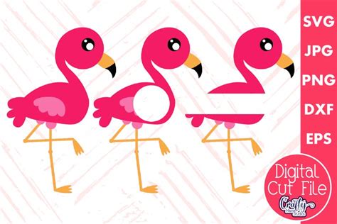 Flamingo Monogram Flamingo Svg Design