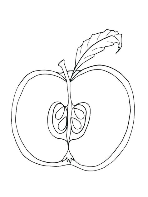 Kali ini lihatlah beberapa ukiran buah apel menakjubkan yang mungkin belum anda ketahui. Kumpulan Gambar Sketsa Apel, Buah Dengan Rasa Manis dan Segar