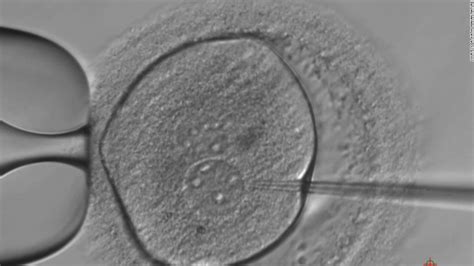 Gene Editing Of Human Embryos In Uk Reveals New Fertility Clue Cnn