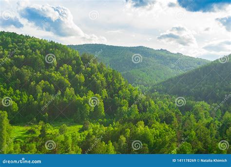 Summer Landscape Magnificent Green Hills And Forest With Different