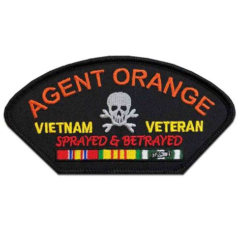 Vietnam Veteran W Ribbons Agent Orange Patch