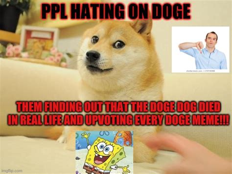 Doge 2 Meme Imgflip
