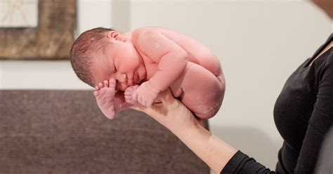 Beautiful Photos Show Newborn Babies Positioned As They Were In The