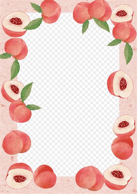 Peach Borders Hd Transparent Peach Border Beginning Of Summer Fruit