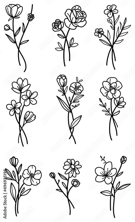 Selection Of Flower Stems Poppy Rose Daisy Line Art Editable Outline