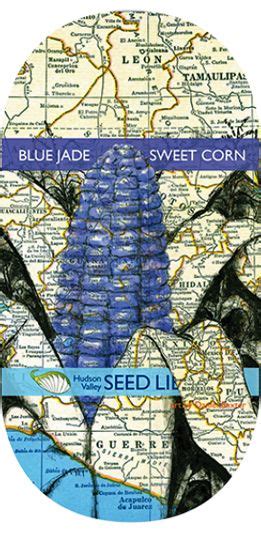 Hudson Valley Seeds Art Pack Blue Jade Sweet Corn Seed Art Seed Packaging Seed Company