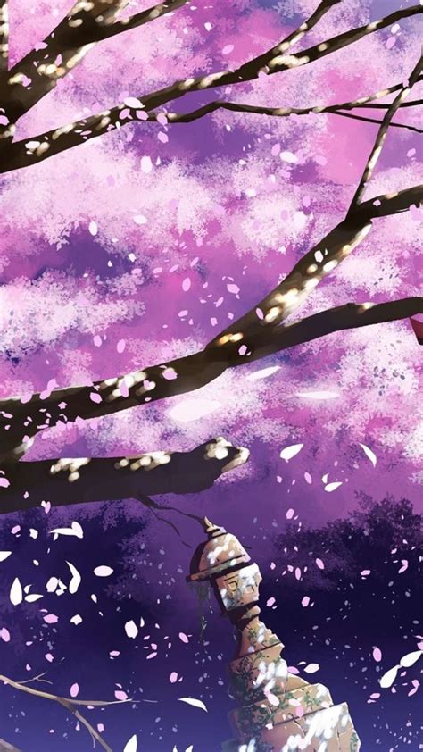 31 Anime Cherry Blossom Wallpapers For Iphone And Android By Heidi Simmons