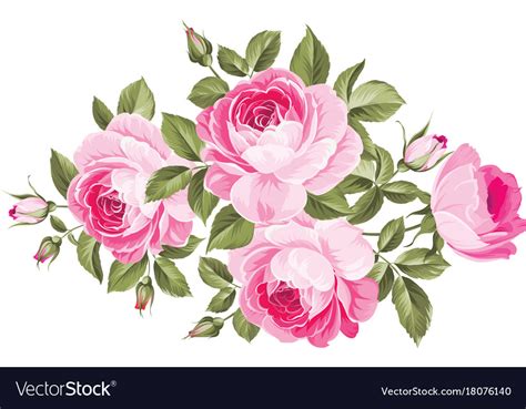 Bouquet Of Roses Royalty Free Vector Image Vectorstock