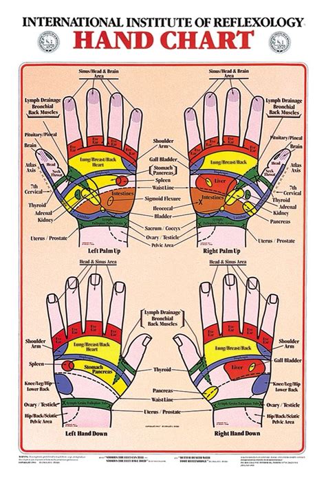 Hand Reflexology Chart International Institute Of Reflexology Hand
