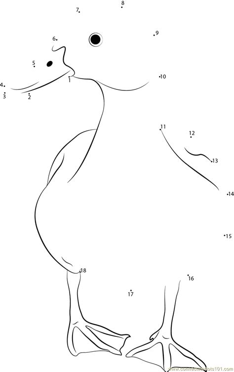 Single Duck Dot To Dot Printable Worksheet Connect The Dots The Best Porn Website