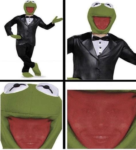 This Kermit Costume Roddlyterrifying