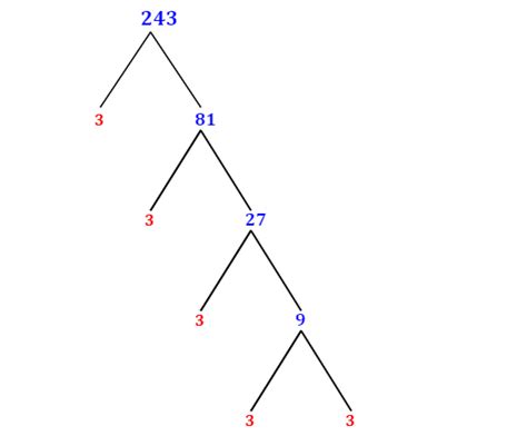Prime Factorization Of 243 With A Factor Tree