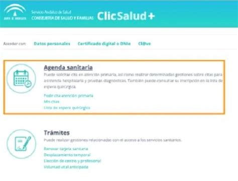 Consigue Tu Cita Medica En El Sas En Andalucía 2024 Elyex