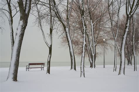 Lonely Bench During A Winter Snow Hd Wallpaper Background Image