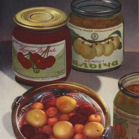 Stalins Soviet Cookbook Illustrations Compote Retro Recipes Vintage Recipes Food Photography