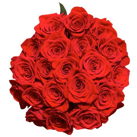 Buy Globalrose 100 Red Roses Next Day Delivery Sweet Fresh Cut
