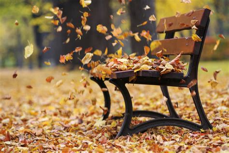 How To Find Balance During Fall The Ayurvedic Vata Season Mindful