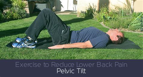 Exercise To Reduce Lower Back Pain