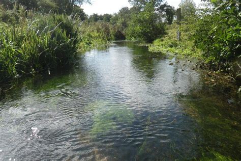 Norfolk Rivers Trust | How can you keep your river healthy and clean ...