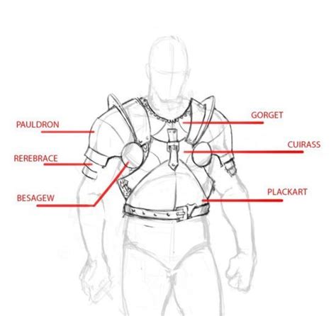 The Anatomy Of A Mans Chest And Back With Labels On Each Side