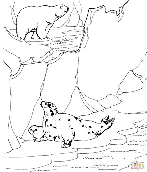 Free Printable Arctic Animals Coloring Pages Coloring Home