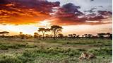 Lodges Serengeti National Park