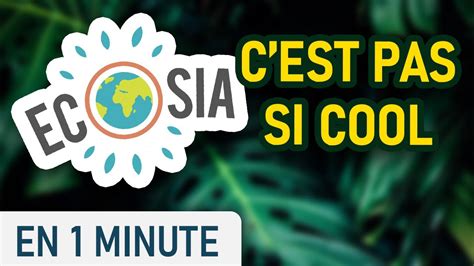 Ecosia plante il vraiment des arbres ? - YouTube