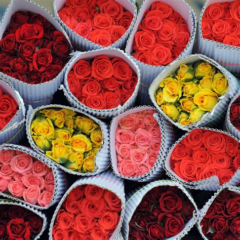 Meaning Of Roses What The Number Of Roses Means Popsugar Love And Sex