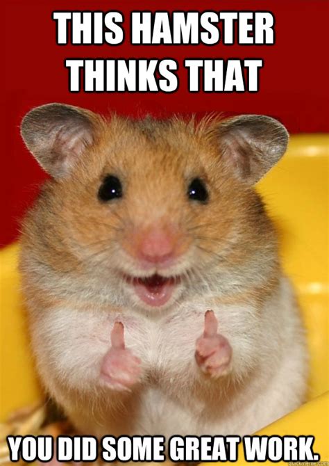 Job well done chuck norrist 皿emegencom job well. this Hamster THINKS that you did some great work ...