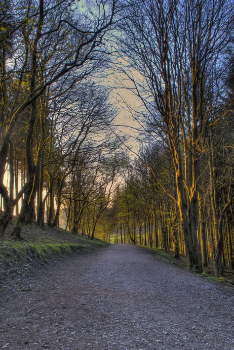 Party houses europe limited toft hall, heaton, rushton, macclesfield, sk11 0sj company registered in england number 8759851 vat registered no 176355387. A path way through the Macclesfield Forest. | The great outdoors, Local area, Paths
