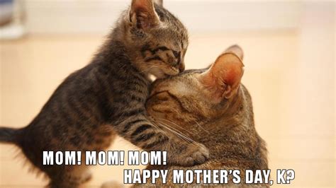 Happy Mothers Day 2014 Animalcare