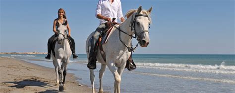 Learn All About Horseback Riding In North Myrtle Beach Vacation