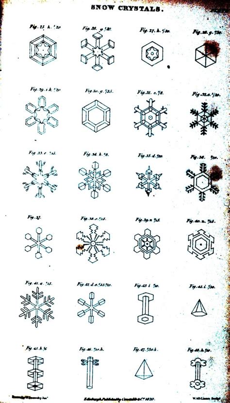 Goes With You Know What Snowflakes Science Snowflake Shape Shape