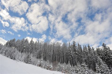 Snowy Forests In The Hills — Stock Photo © Dzupincom 91357170