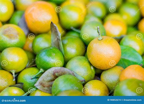 Green And Orange Lemon Fruits Stock Photo Image Of Fruits Natural
