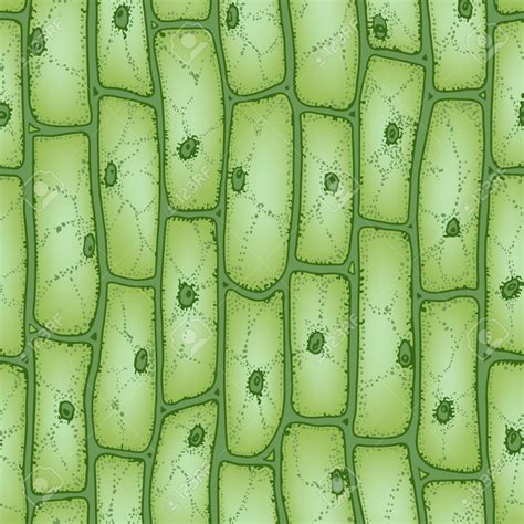 Green Plant Cells Under Microscope Seamless Vector Pattern Royalty Free