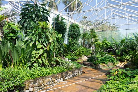 We did not find results for: Wholesale Plant Nursery - shanetinkerenterprises.com