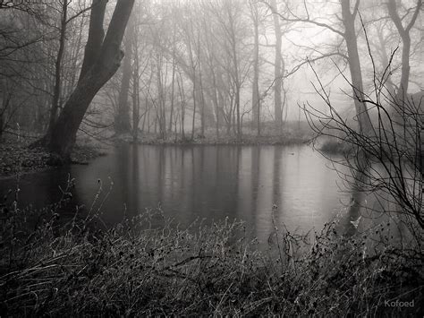 Foggy Forest Pond By Kofoed Redbubble