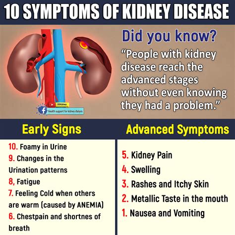 Is It Really Possible To Get Off Kidney Dialysis 10 Symptoms Of