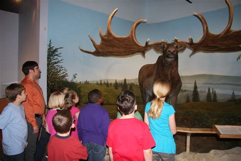 Permanent Exhibits International Wildlife Museum