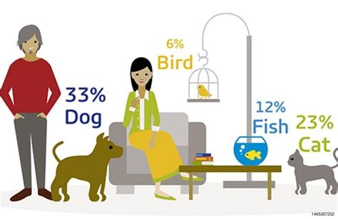 Why Are Dogs And Cats The Most Popular Pets