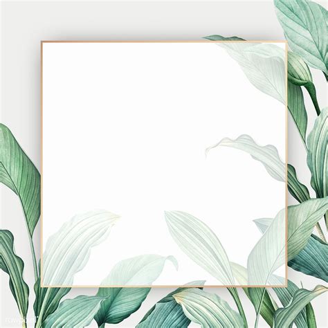 Download Premium Illustration Of Gold Frame On A Hand Drawn Tropical