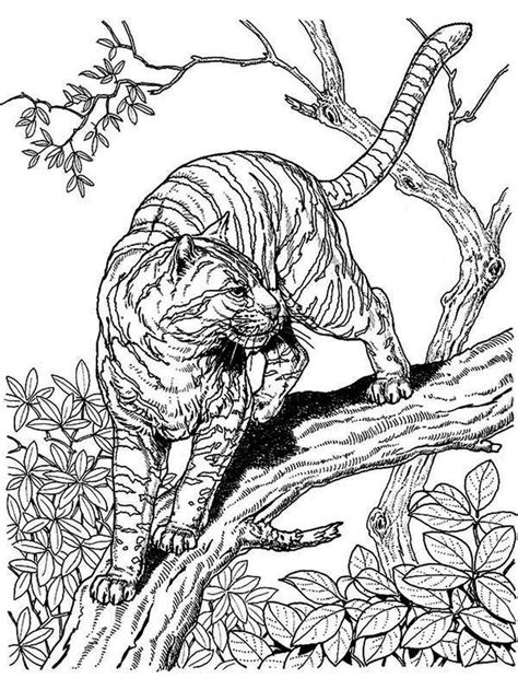 Tiger Hard Image Coloring Pages Below Is A Collection Of Hard Image