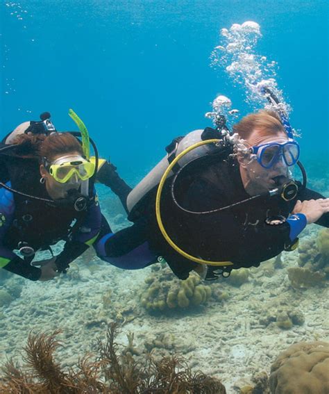 Discover Scuba Diving In Sharm El Sheikh 2 Dive From Shore Tourex Egypt