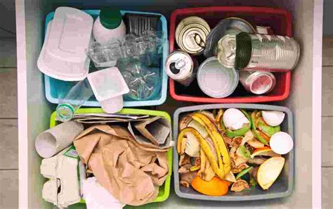 10 Contoh Sampah Organik Dan Anorganik IMAGESEE