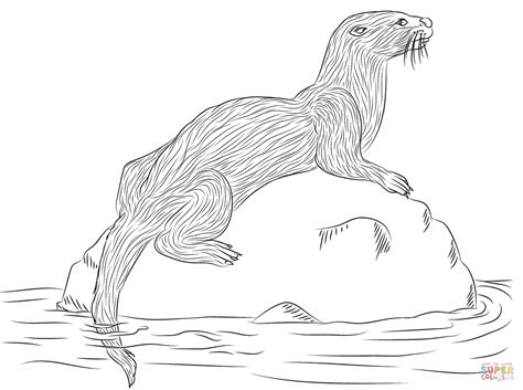 10 Best Sea Otter Coloring Pages