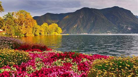 Flowers On The Lake